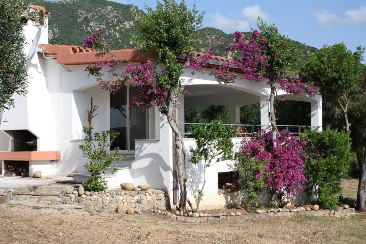Vacanza In Ogliastra Tertenìa Zewnętrze zdjęcie