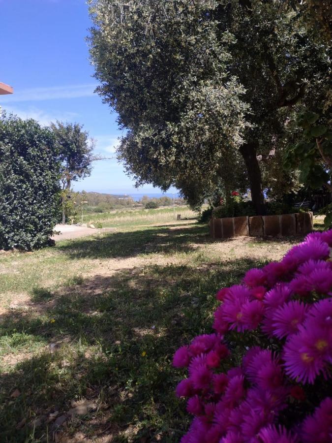 Vacanza In Ogliastra Tertenìa Zewnętrze zdjęcie