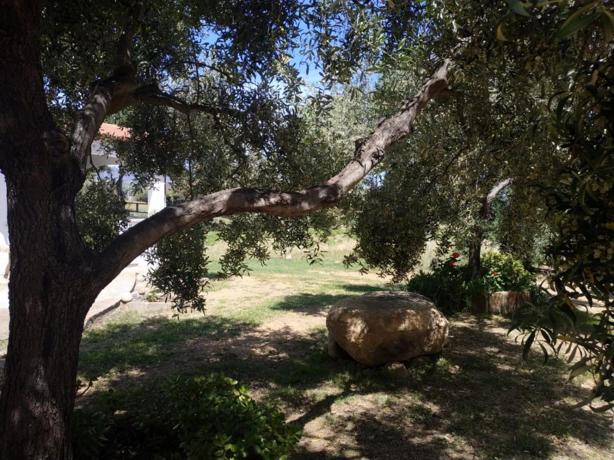 Vacanza In Ogliastra Tertenìa Zewnętrze zdjęcie