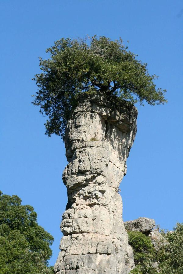 Vacanza In Ogliastra Tertenìa Zewnętrze zdjęcie