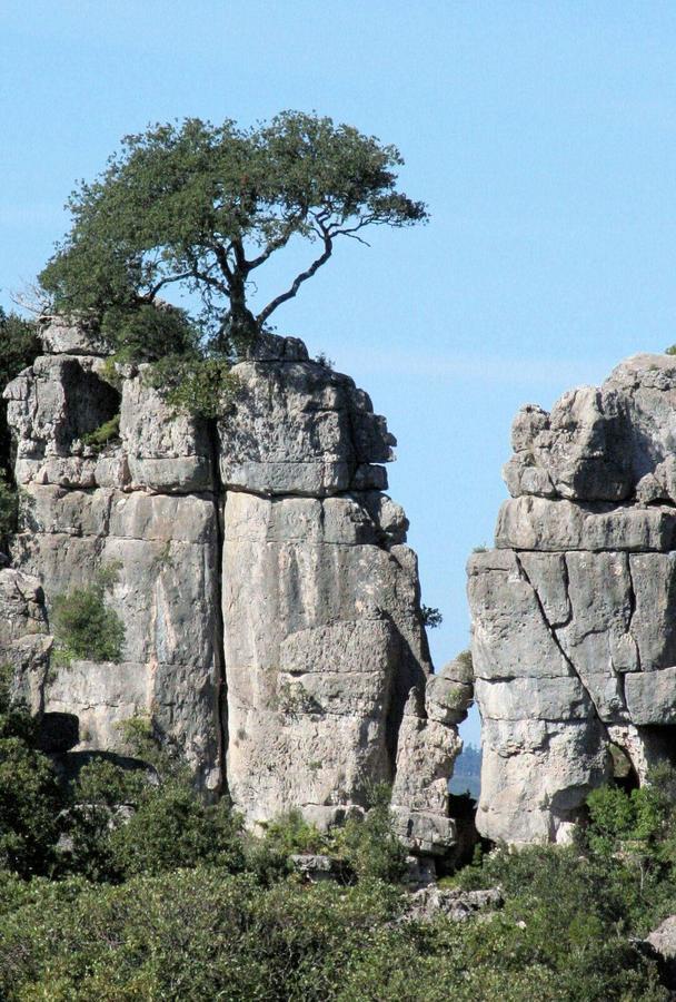 Vacanza In Ogliastra Tertenìa Zewnętrze zdjęcie